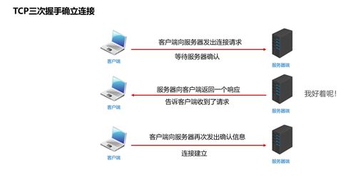 深入理解网络通信三要素 IP、端口、协议及其在信息安全软件开发中的关键作用